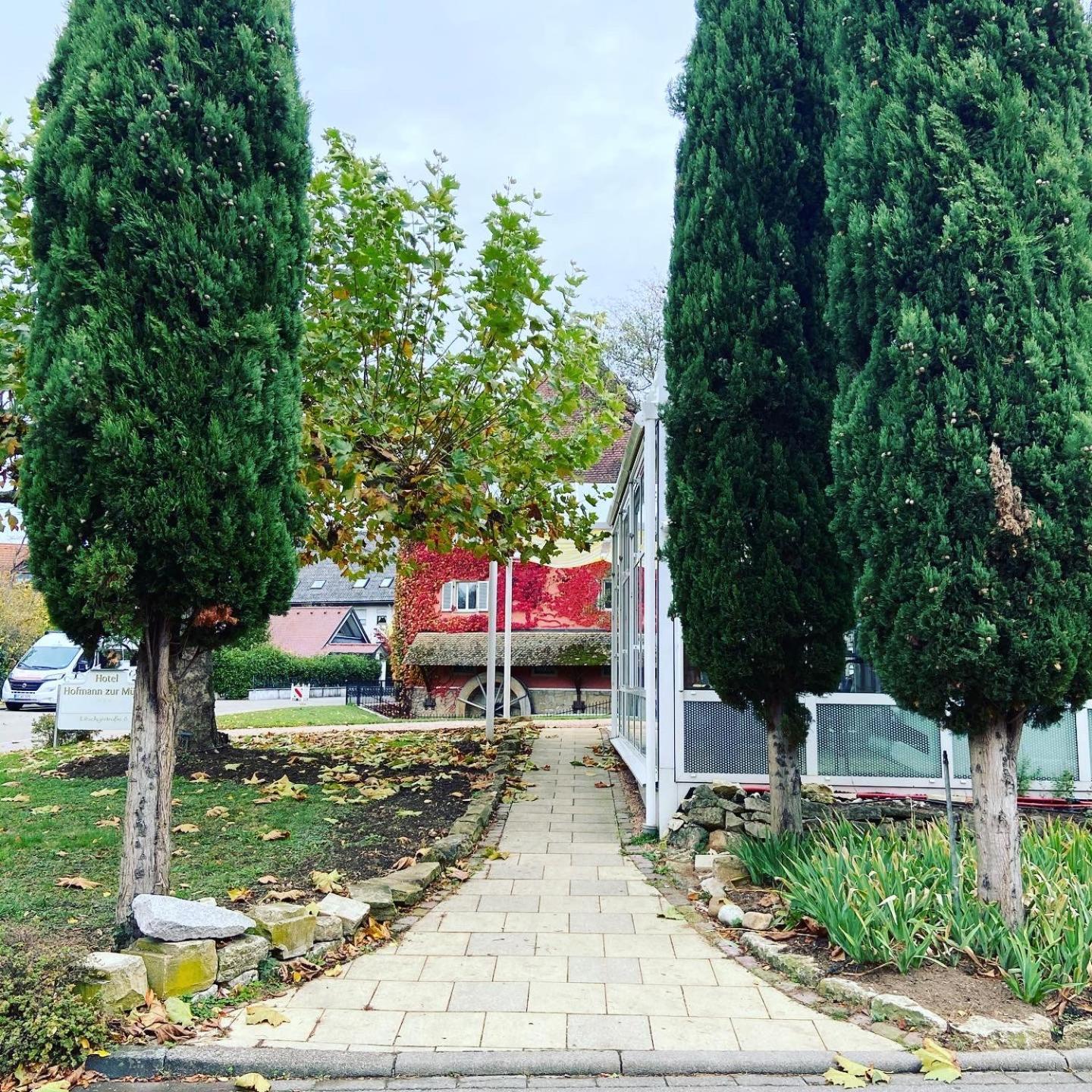 Hotel Hofmann Zur Muehle Bad Krozingen Zewnętrze zdjęcie