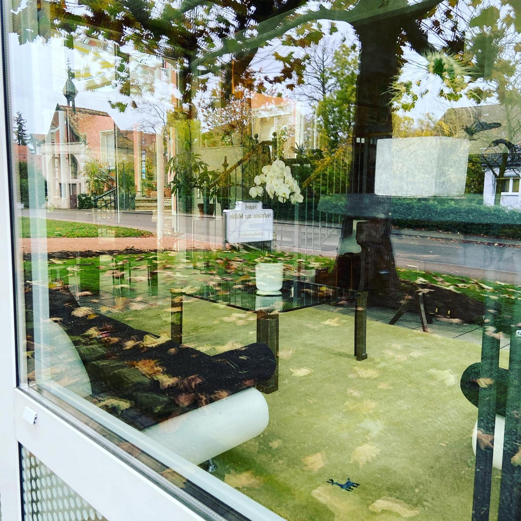 Hotel Hofmann Zur Muehle Bad Krozingen Zewnętrze zdjęcie